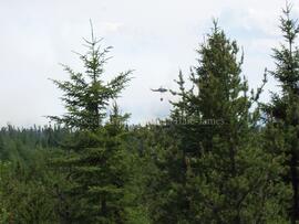 Feu de forêt de Chibougamau, 3 juin 2005