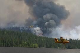 Avion citerne au dessus du lac Gilman, feu forêt de Chibougamau, 3 juin 2005