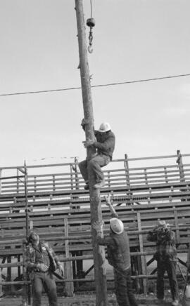 Un homme grimpant sur un tronc d’arbre lors d’un festival de bûcheron à     Lebel-sur-Quévillon