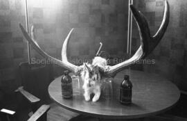 Comité de signalisation et de technique des jeux à Lebel-sur-Quévillon