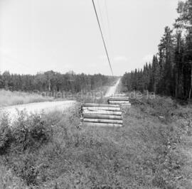 Bois sur le bord de la route en prévision de travaux sur le sentier écologique