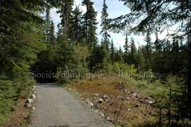 Parc Obalski, Chibougamau