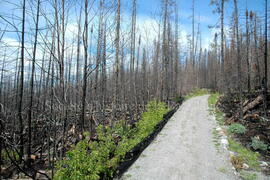 Parc Obalski, Chibougamau