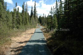 Parc Obalski, Chibougamau