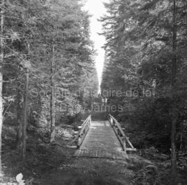 Partie du chemin construit du sentier écologique