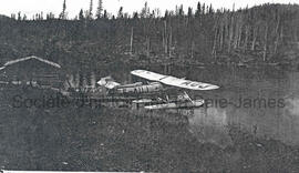 Mine Goldfields et Cedar Bay