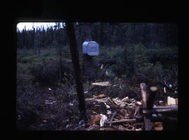 Camp de base bois de chauffage et oiseau 8-1966