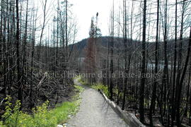 Parc Obalski, Chibougamau