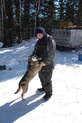 Chien de traîneau au centre Alaskan du Nord