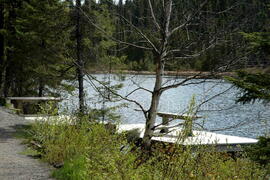 Parc Obalski, Chibougamau