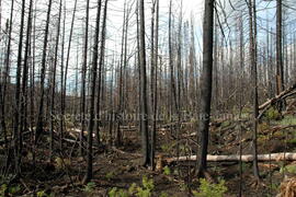 Parc Obalski, Chibougamau