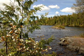 Parc Obalski, Chibougamau