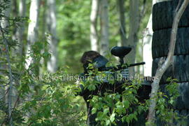 Partie de paintball à Chibougamau