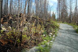 Parc Obalski, Chibougamau