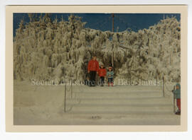 Palace de glace du Carnaval.