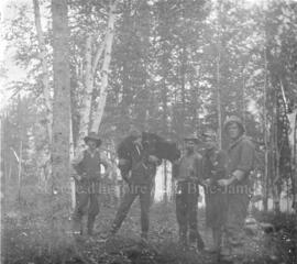 Chasse à l'ours
