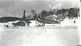 Mine Goldfields et Cedar Bay