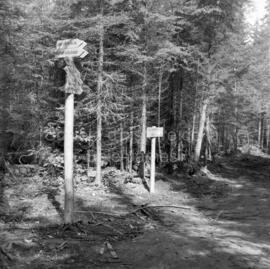 Intersection avec pancartes de directions dans le sentier écologique