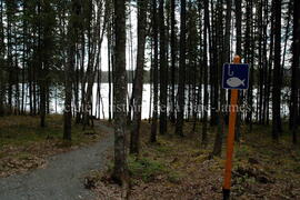 Parc Obalski, Chibougamau