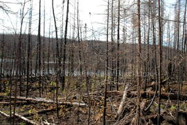 Parc Obalski, Chibougamau