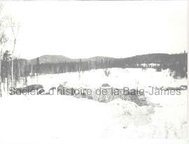 Bois pour les bouilloires à la Goldfields