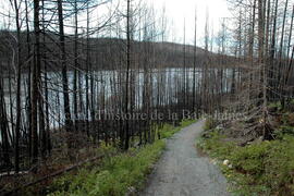 Parc Obalski, Chibougamau