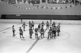 Groupe de joueurs de Hockey du Domtar de Lebel-sur-Quévillon