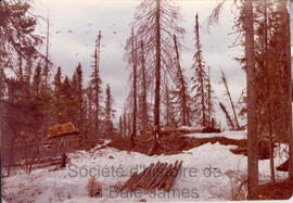 Camp Morin