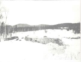 Bois pour les bouilloires à la Goldfields.