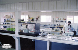 Cafétéria à l’intérieur de l’usine Domtar à Lebel-sur-Quévillon