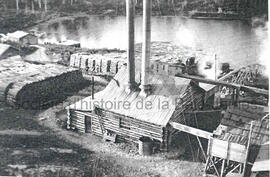 Mine Goldfields et Cedar Bay