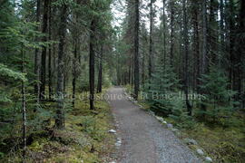 Parc Obalski, Chibougamau