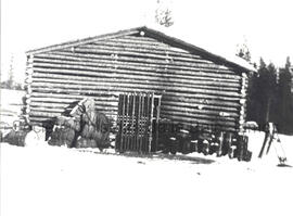 Campement, Goldfields à la baie Coleman