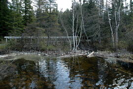 Parc Obalski, Chibougamau