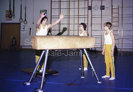 Spectacle de gymnastique prenant place à l’École Boréale
