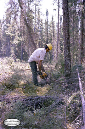 Travailleur dans le bois pour l’usine Domtar à Lebel-sur-Quévillon