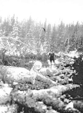 Mine Goldfields et Cedar Bay