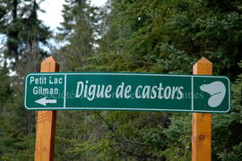 Parc Obalski, Chibougamau