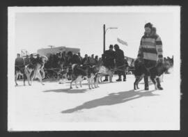 Course de chiens. Carnaval de Chibougamau, 1963.