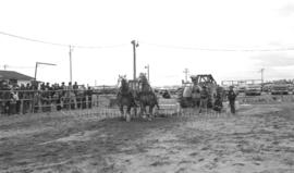 Chevaux et machinerie lors du Festival Western de Lebel-sur-Quévillon