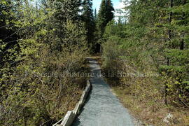 Parc Obalski, Chibougamau