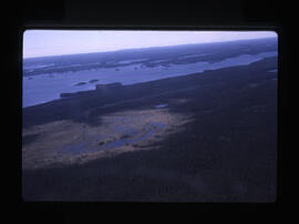 Lac Chibougamau-swamp-6-1966