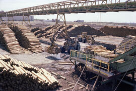 Cours à bois de l’usine Domtar à Lebel-sur-Quévillon