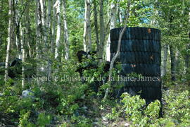 Partie de paintball à Chibougamau