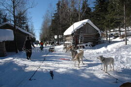 Centre Alaskan du Nord