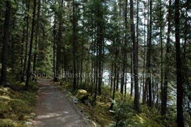 Parc Obalski, Chibougamau