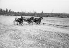 Gens pratiquant l’équitation sur la piste Selker à Lebel-sur-Quévillon
