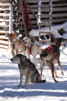 Centre Alaskan du Nord