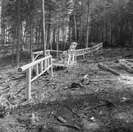 Aménagement du sentier écologique