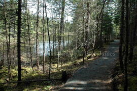 Parc Obalski, Chibougamau